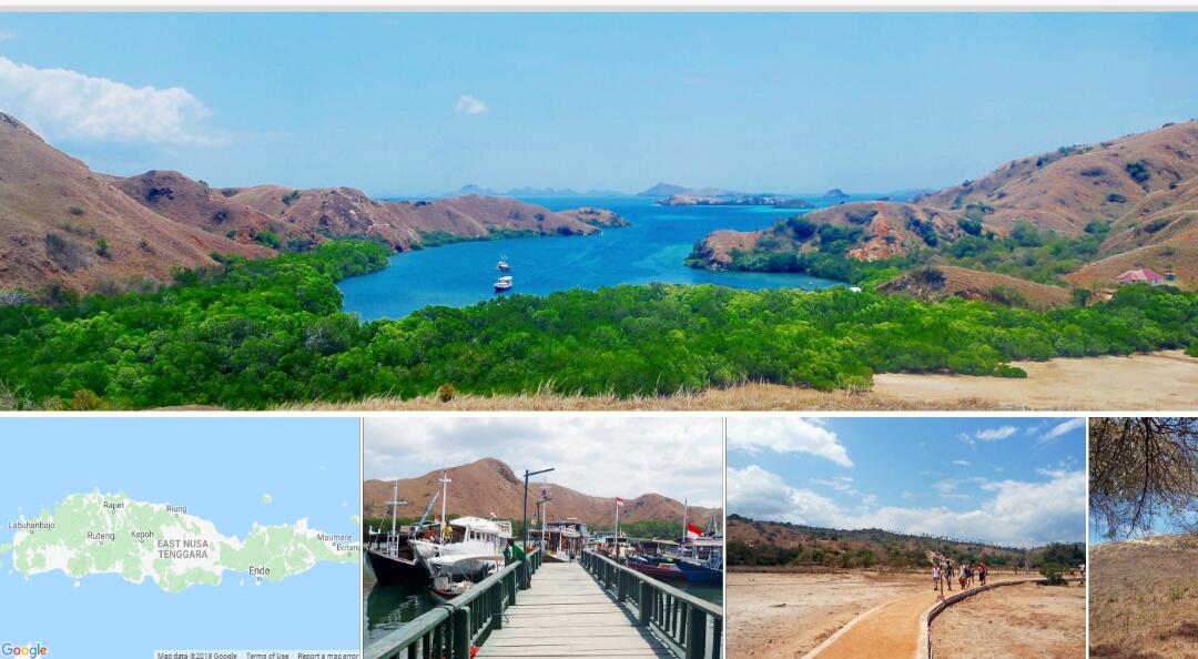 Pulau Komodo Ditutup, Kenapa Harus Ribut?