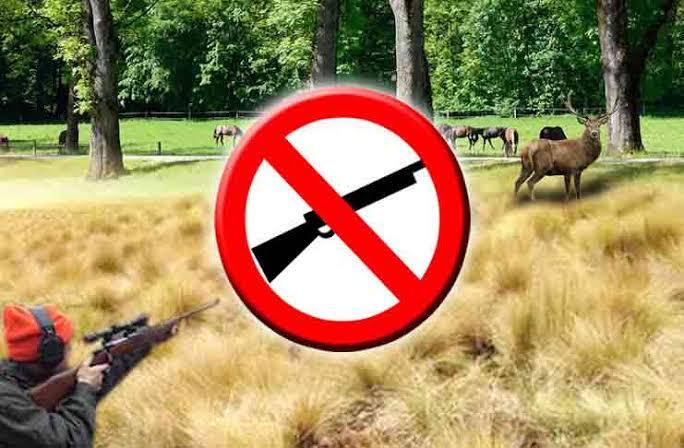 Alasan Penutupan Terhadap Taman Nasional Pulau Komodo Dan Dampak Tiket Masuknya