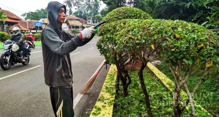 Alasan Penutupan Terhadap Taman Nasional Pulau Komodo Dan Dampak Tiket Masuknya
