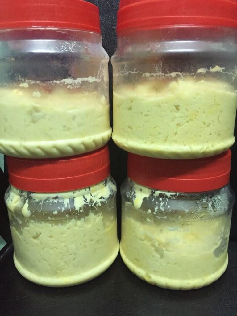 Tempoyak Makanan Fermentasi dari Durian