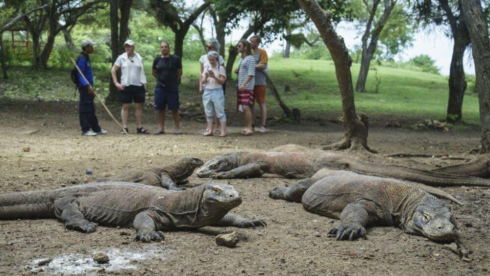 Pro Dan Kontra Soal Isu Penutupan Pulau Komodo. Bagaimana Tanggapannya?