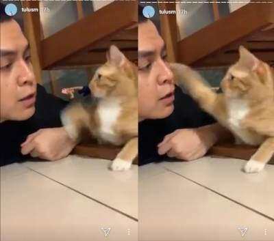 Penyanyi TULUS Di gampar (OMG)