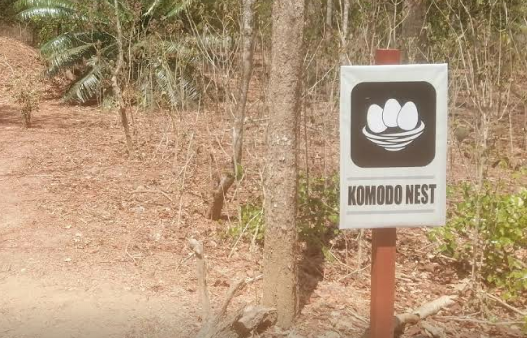 Rentetan Pemberitan Tentang Pulau Komodo