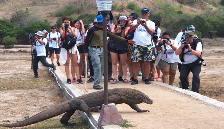 Masih Adakah Yang Minat Berkunjung Ke Pulau Komodo??
