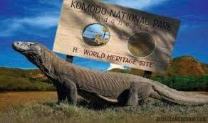 Eksklusif! Tiketnya Dibandrol 14 Juta, Pulau Komodo Akan Seperti Apa?