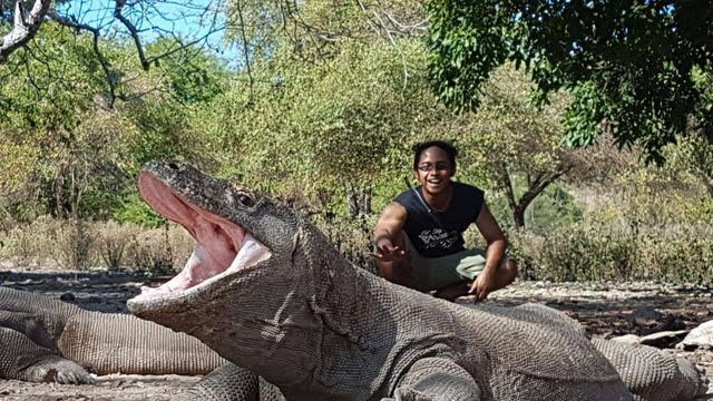 Daya Tarik Pulau Komodo, Tiket Masuk Keindahan Wisata?