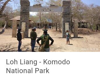 Daya Tarik Pulau Komodo, Tiket Masuk Keindahan Wisata?
