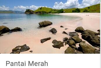 Daya Tarik Pulau Komodo, Tiket Masuk Keindahan Wisata?