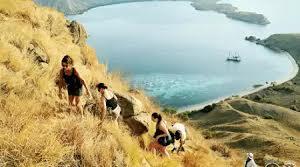 Daya Tarik Pulau Komodo, Tiket Masuk Keindahan Wisata?