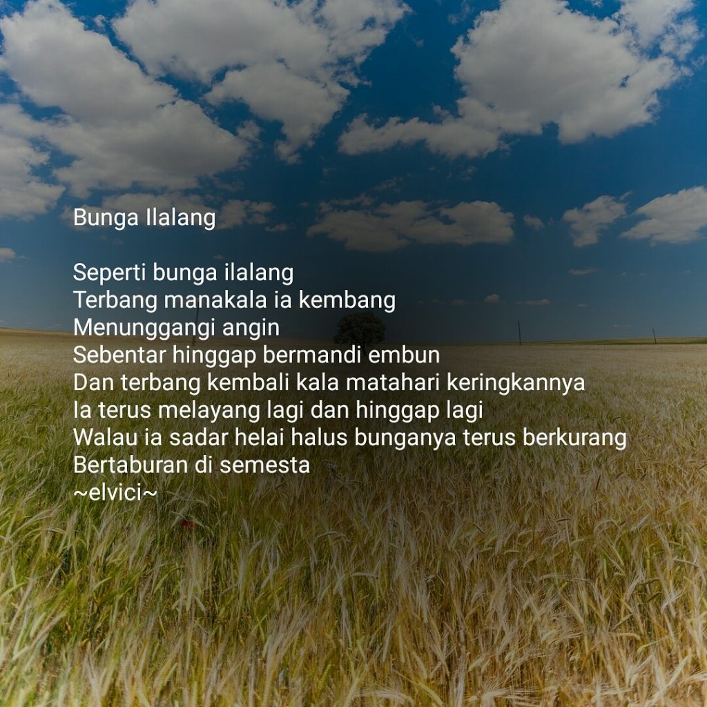 Dendang Ilalang di Padang Lengang
(Kumpulan Puisi Elegi)