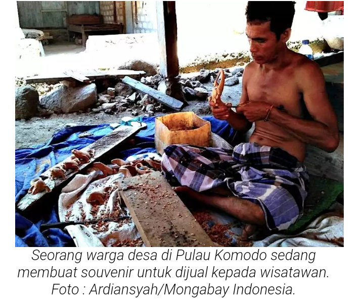 Pulau Komodo 'Naik Kelas', Mari Kita Dukung!
