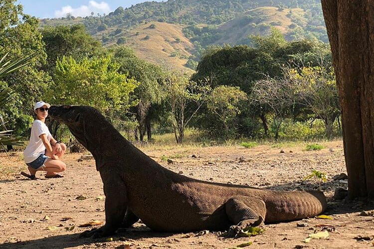 Antara Pulau Komodo dan Keistimewaan Pariwisata Indonesia