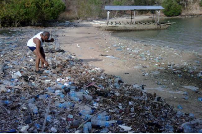 Di Buat Mahal Dan Ekslusif Agar Lingkungan Pulau Komodo Bisa Bersih Dari Sampah