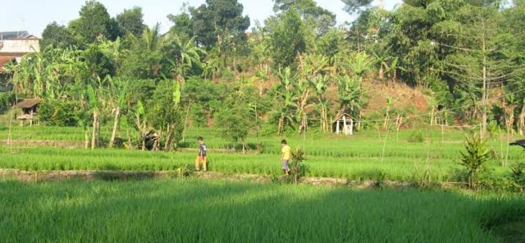 Kisah Pengorbanan Ibu Menunggu Anaknya Pulang Dan Berubah, Sedih Dan Bermakna