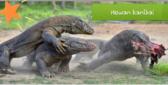 Mengunjungi Habitat Hewan Pra Sejarah dengan Tiket Seharga 14 Juta! Berminat?