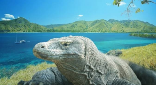 Mengunjungi Habitat Hewan Pra Sejarah dengan Tiket Seharga 14 Juta! Berminat?