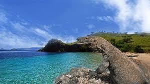 Gempar! Pulau Komodo Akan Ditutup!
