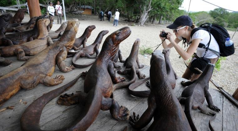 Demi Melestarikan Pulau Komodo, Kawasan Wisata Premium Jadi Pilihan Terbaik