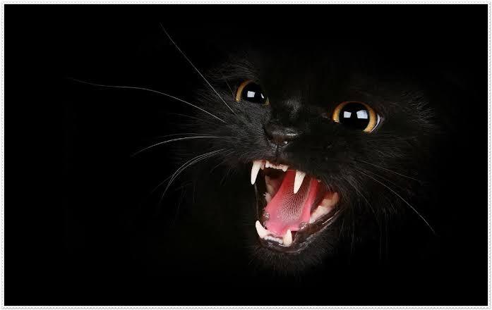 Inilah Beberapa Mitos Hallowen, Kisah Penipu Yang Arwahnya Ditolak Surga Dan Neraka