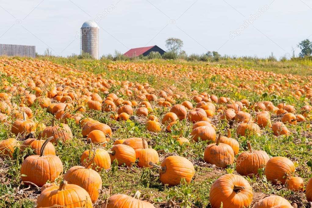Halloween, Hari Raya Apaan Sih?
