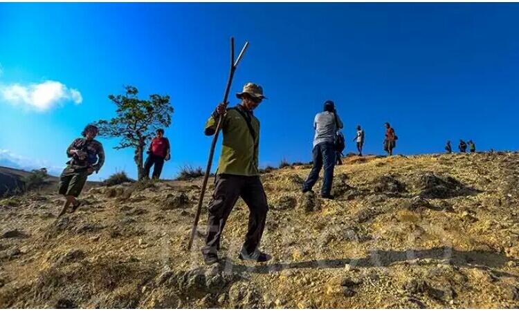 Tidak Ada Kata Kemahalan Untuk Komodo