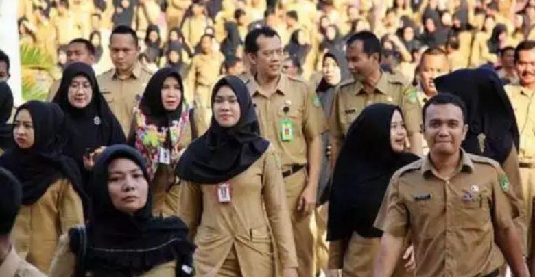 Pendaftaran CPNS 2019 Dibuka 1 November, 152.286 Formasi Tersedia