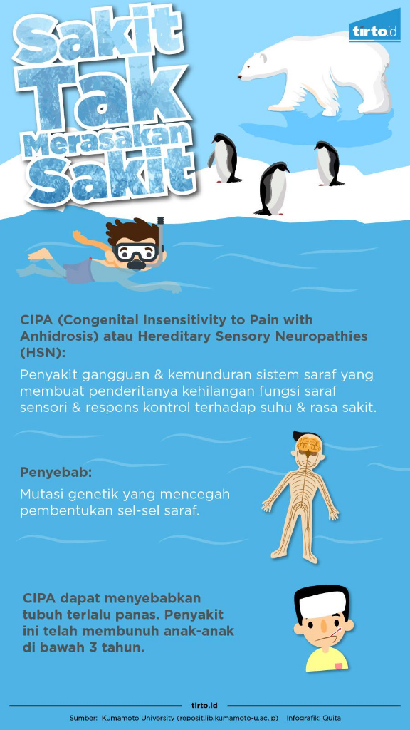 CIPA DAN NIPAH