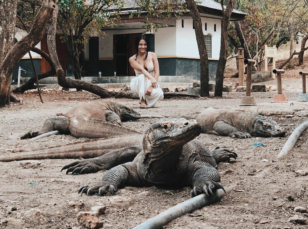 Pulau Komodo jadi Wisata Bergengsi, Yes or No?