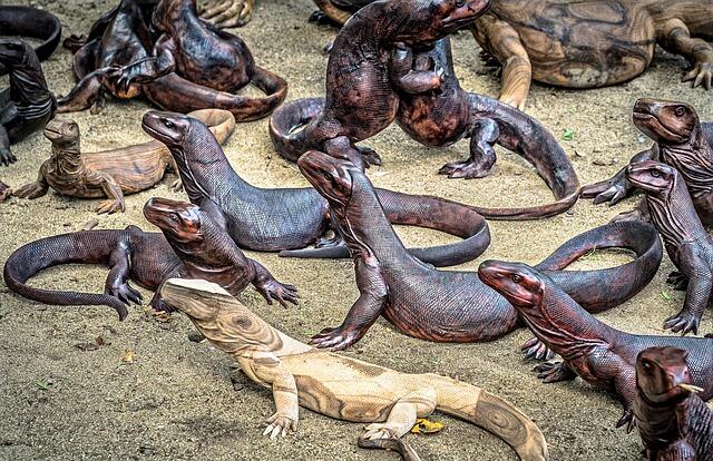Khilaf, Pulau Komodo Hanya Boleh Dikunjungi Oleh Mereka yang Berduit!