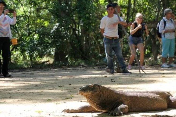 Harga Fantastis Demi Wisata Alam Eksklusif Berstandar Internasional, Simak Ulasannya!