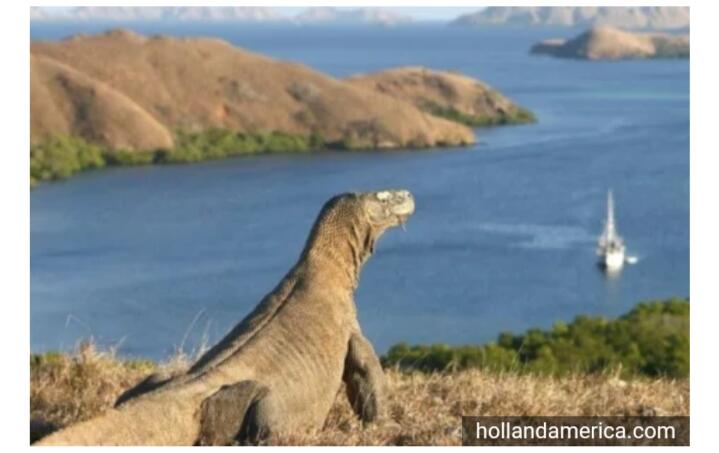 Wisata Ekslusif Komodo Island, Selain Mahal Ternyata Juga Terbatas!