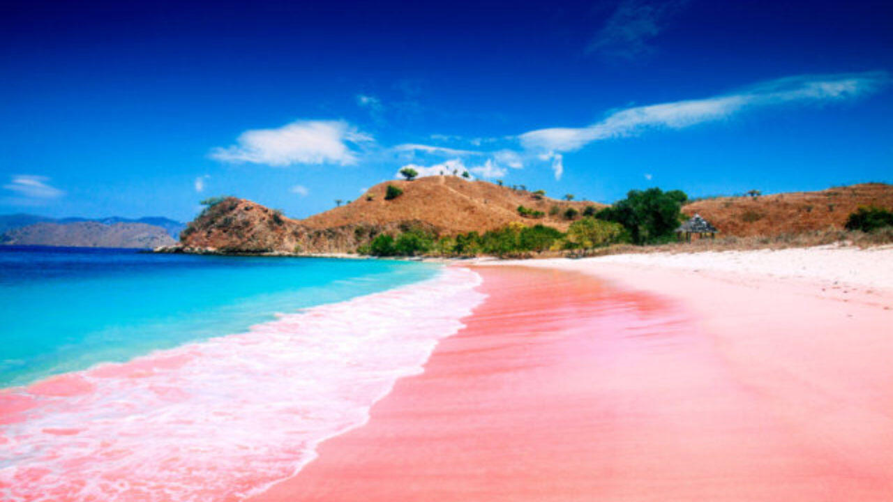Ini Alasan Kenapa Pulau Komodo Bisa Mahal, Gan