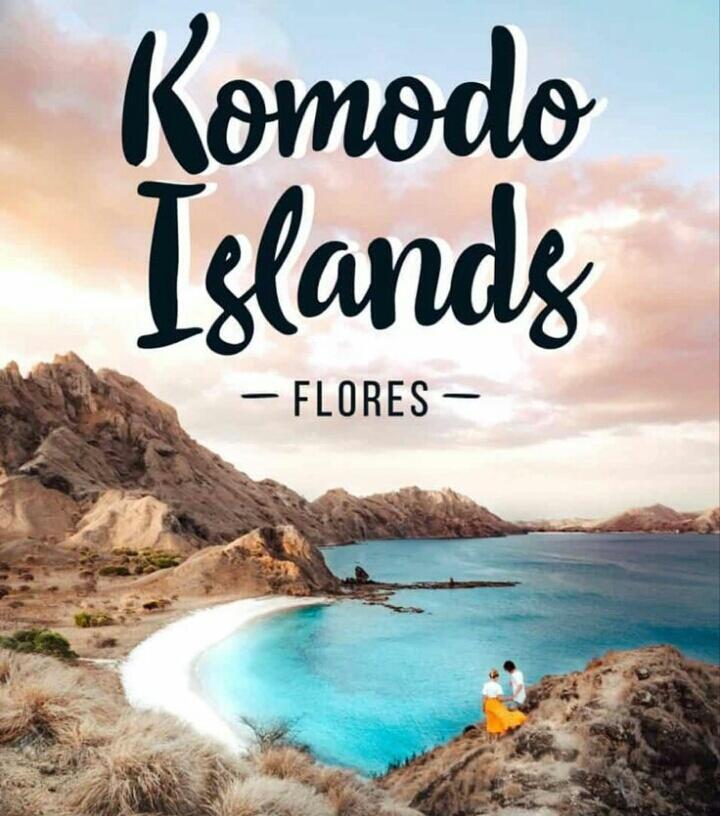 Komodo Vs Tiket 1000 Dollarnya
