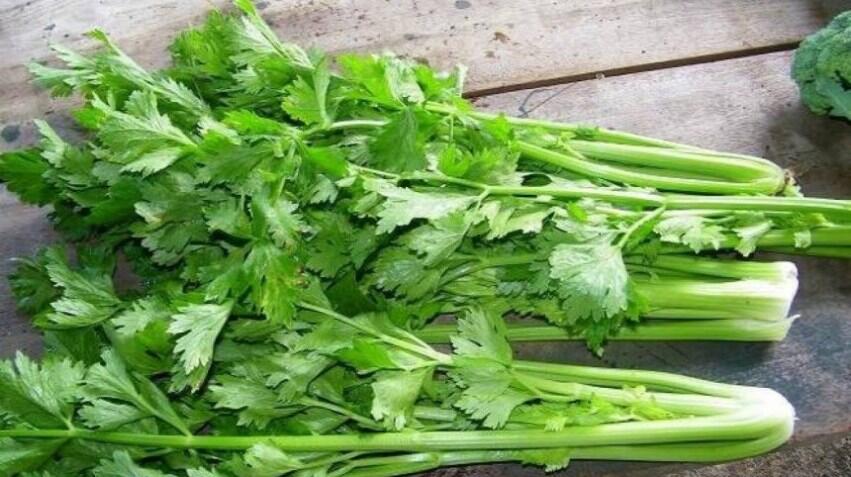 Jangan Simpan Buah atau Sayur Dalam Keadaan Basah di Kulkas