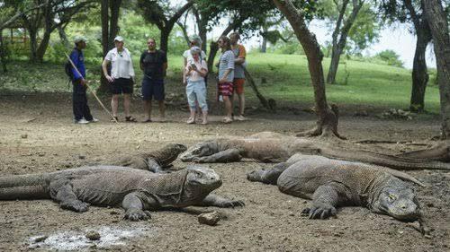 Dear Pemerintah : Bijaklah Mengelola Pulau Komodo