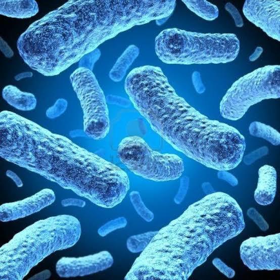 Menyikapi Mitos Rumah Tusuk Sate dalam Persepsi Science