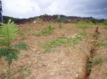 Pengaruh Tambang Batu Bara