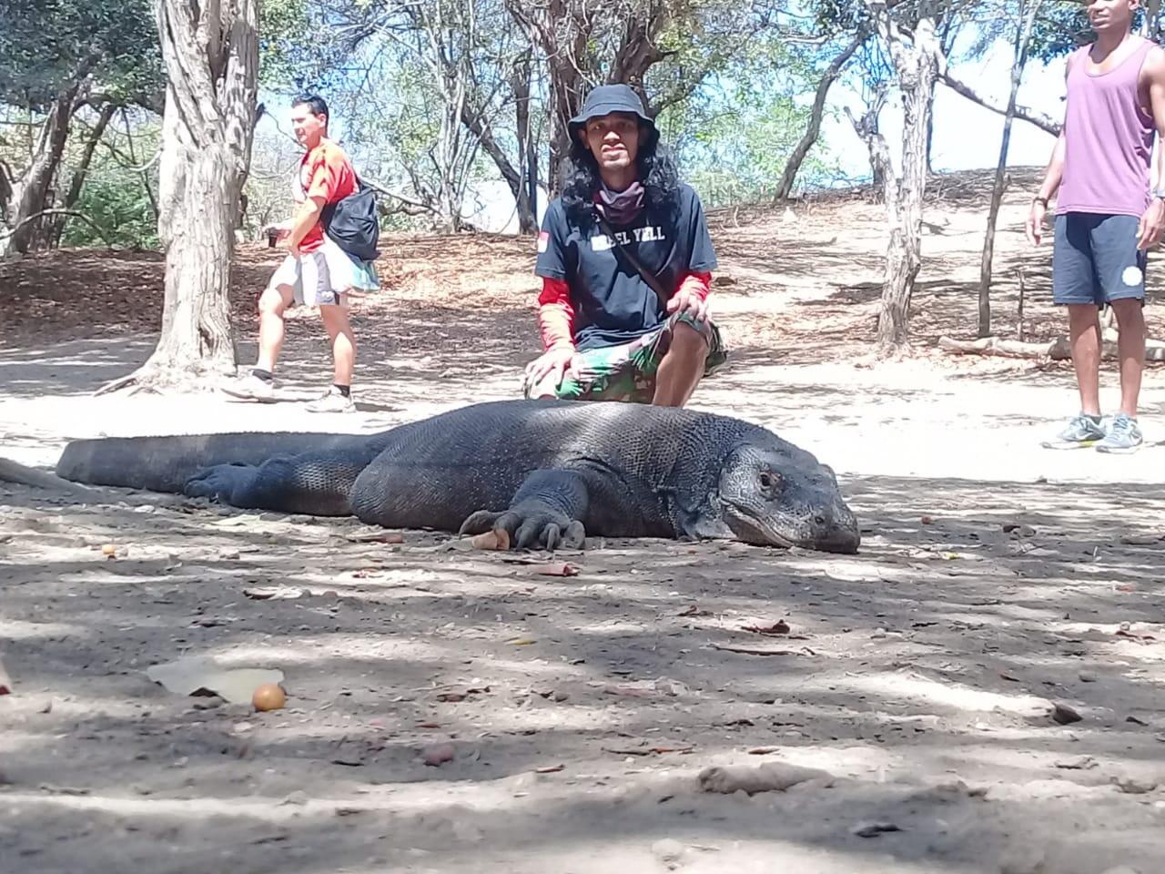 Dari Suaka Margasatwa ke Taman Nasional, Akankah Pulau Komodo Menjadi Cagar Alam?