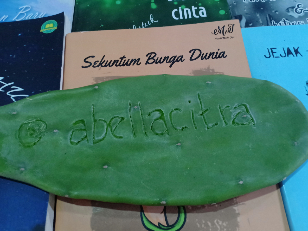 Apakah itu Cinta? Bagaimana Cinta Menurut Gansist?