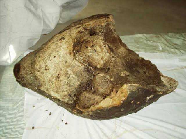 Muntahan paus atau ambergris bisa digunakan untuk bahan parfum?