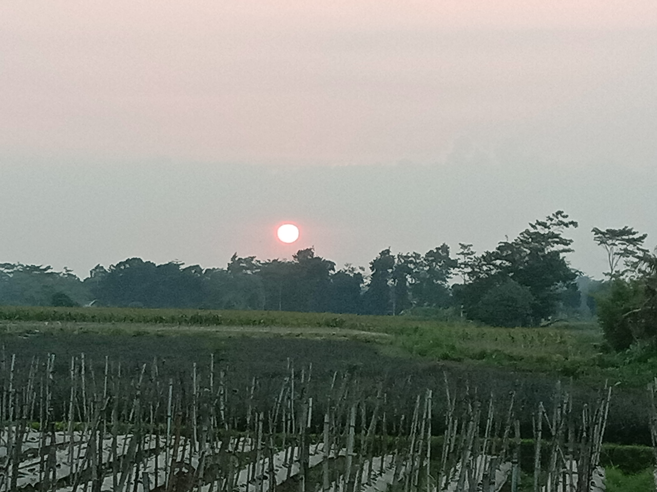 Kegaduhan Tengah Malam Itu Bukan Karena Adhi Shakti Atau Badra Kali Yang Mengerikan