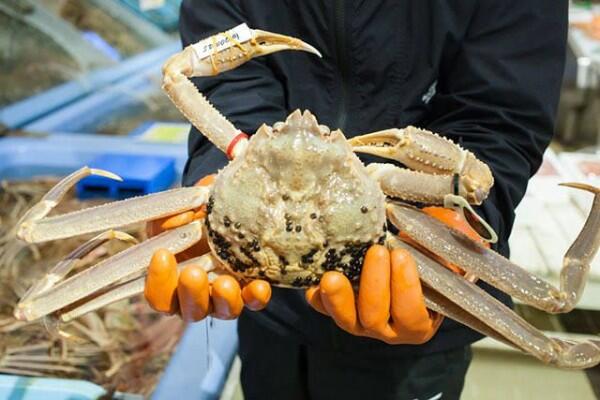 7 Fakta Unik Obama, Kota di Jepang yang Jadi Dapur Makanan Kekaisaran