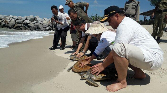 Liburan Di Pulau Bangka? Ini 4 Lokasi Wisata Unik Yang Bisa Di Kunjungi