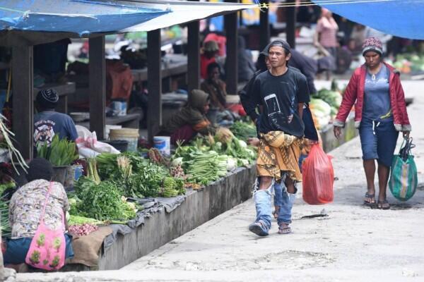 DPD Bentuk Pansus untuk Selesaikan Permasalahan di Papua