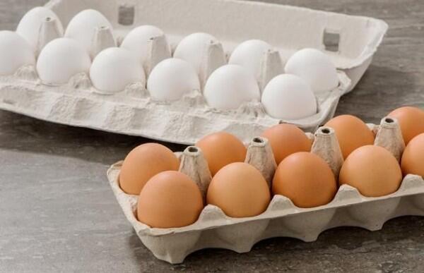 Resep dan Tips Membuat Telur Omelet ala Yummy, Bisa Pakai Ziplock!