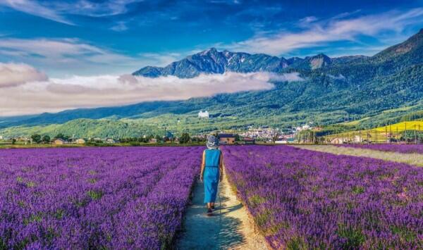 10 Kota Paling Cantik di Jepang yang Bikin Kamu Gak Pengin Pulang