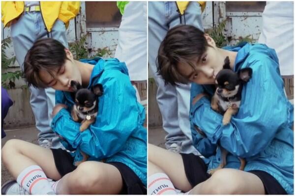 Jadi Kesayangan! Ini 11 Potret si Anjing Tan Bareng Wanna One dan X1