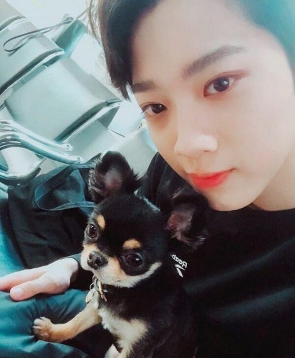 Jadi Kesayangan! Ini 11 Potret si Anjing Tan Bareng Wanna One dan X1