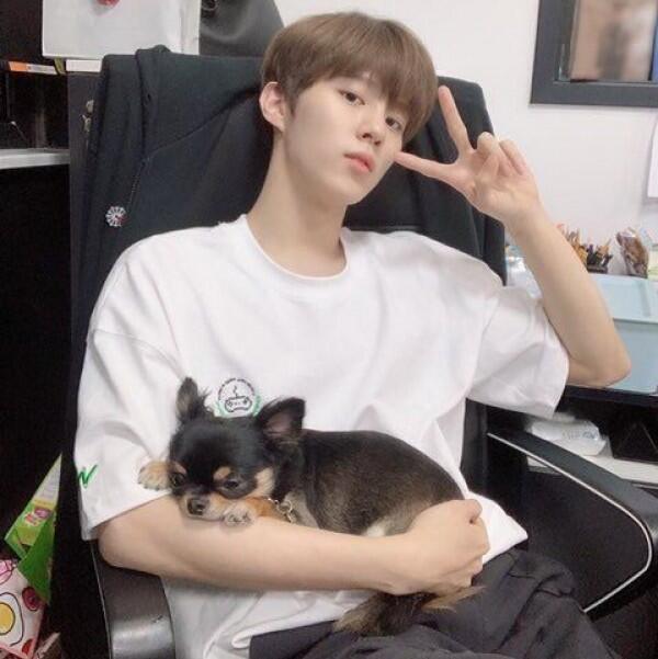 Jadi Kesayangan! Ini 11 Potret si Anjing Tan Bareng Wanna One dan X1