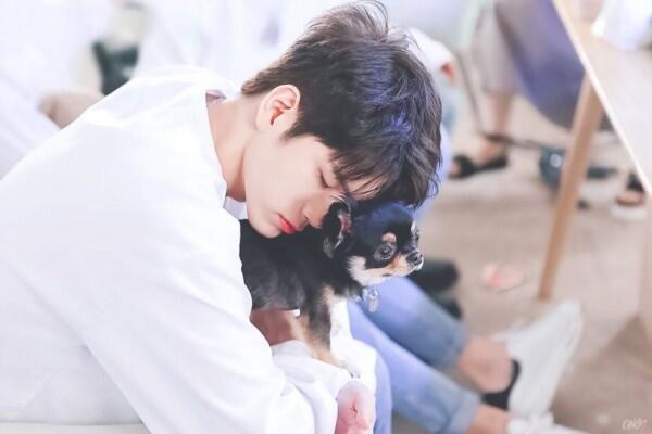 Jadi Kesayangan! Ini 11 Potret si Anjing Tan Bareng Wanna One dan X1
